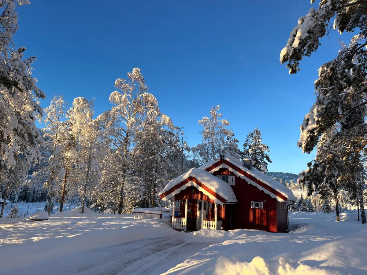 Lie Hytteutleige - Gjestegård - Thor Fine Art Amdals Verk Exterior foto