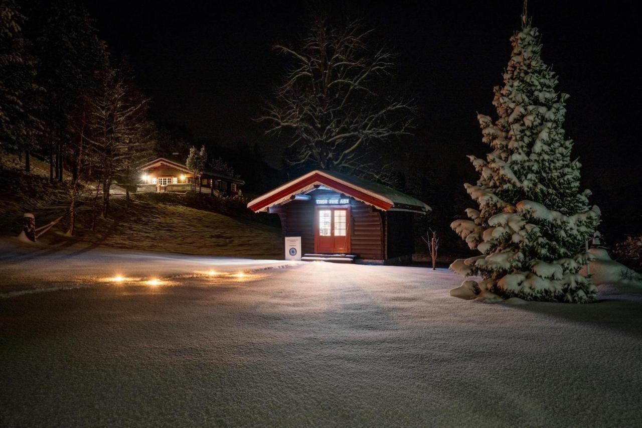 Lie Hytteutleige - Gjestegård - Thor Fine Art Amdals Verk Exterior foto